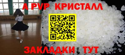 индика Славгород
